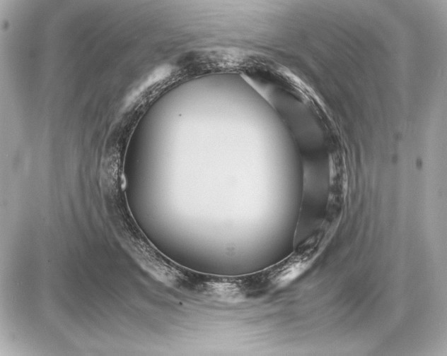 X0000085840509200704091727