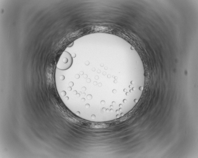 X0000085840510200704091727