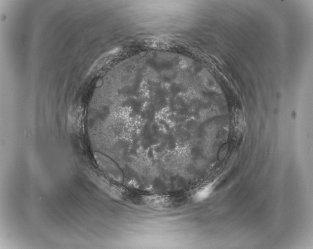 X0000085840511200704091727