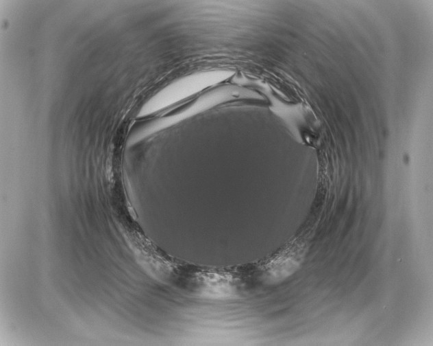 X0000085840512200704091727