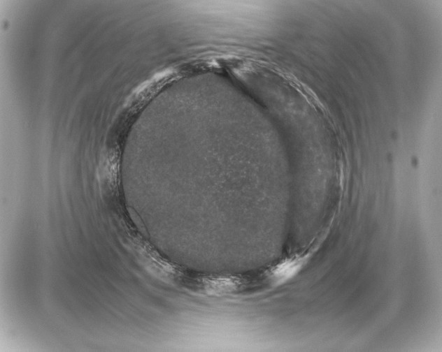 X0000085840513200704091727