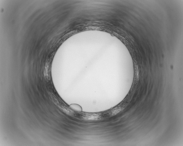 X0000085840514200704091727