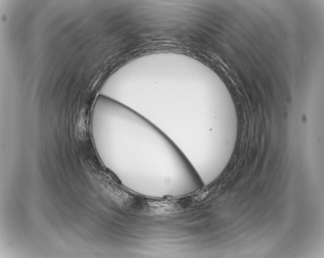 X0000085840516200704091727