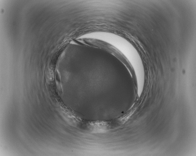 X0000085840517200704091727