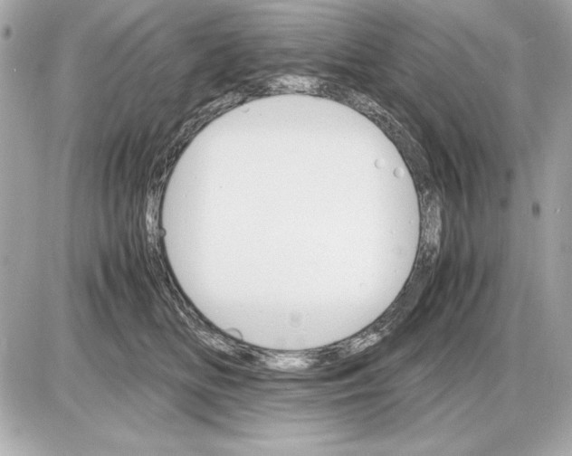 X0000085840518200704091727