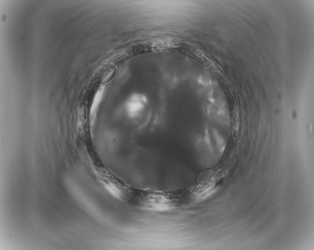 X0000085840519200704091727