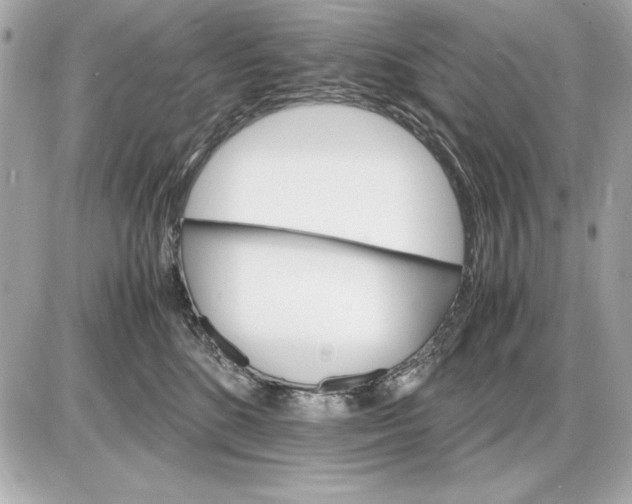 X0000085840520200704091727