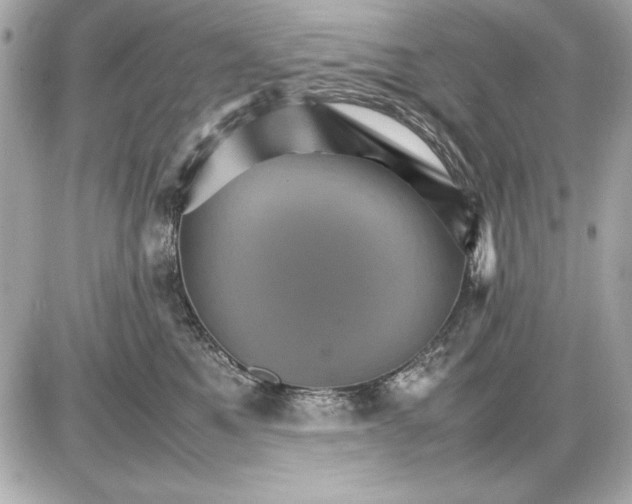 X0000085840521200704091727