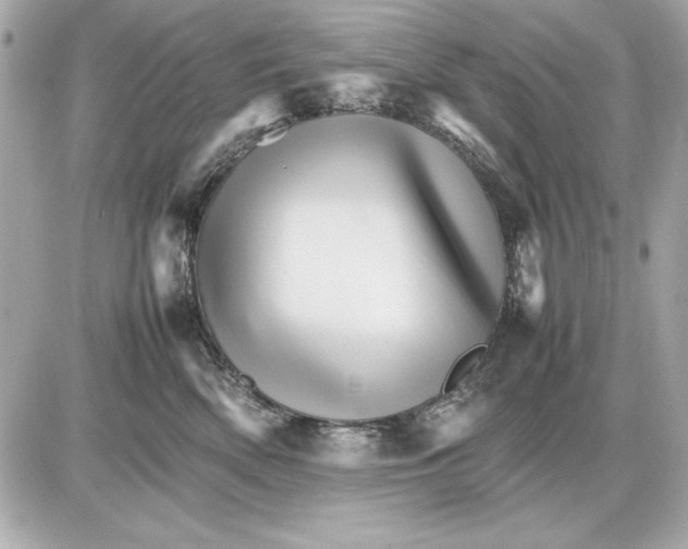 X0000085840522200704091727