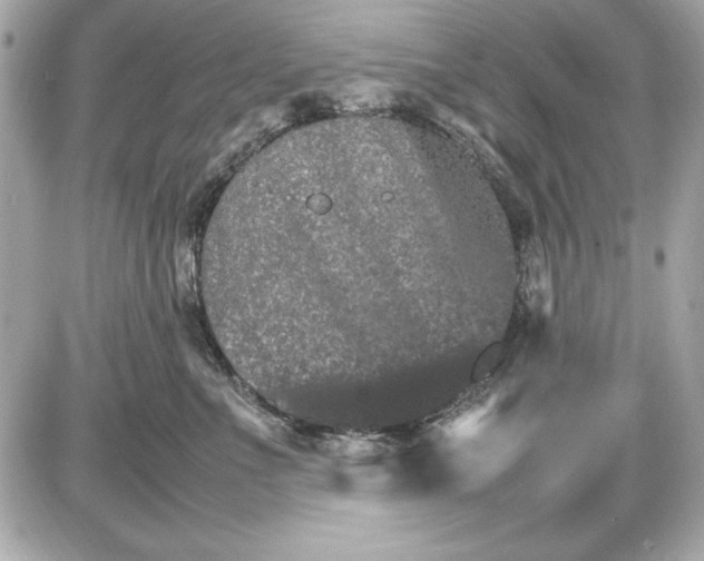 X0000085840523200704091727