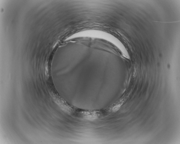 X0000085840524200704091726