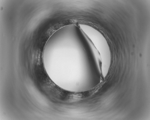 X0000085840525200704091726