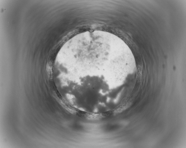 X0000085840527200704091726