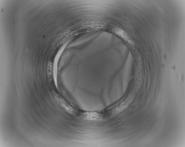 X0000085840528200704091726