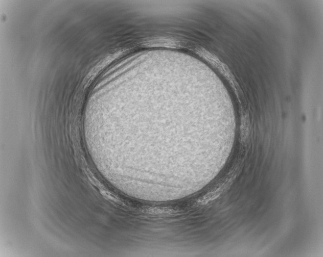 X0000085840529200704091726