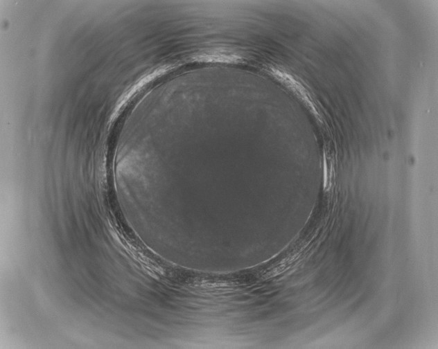 X0000085840531200704091726