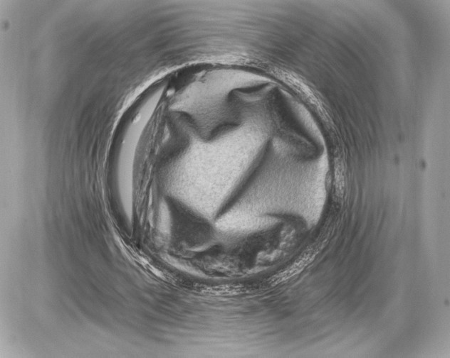 X0000085840532200704091726