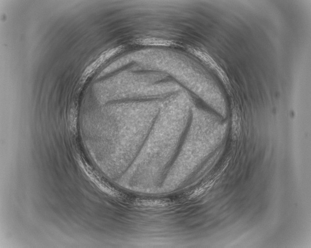 X0000085840533200704091726