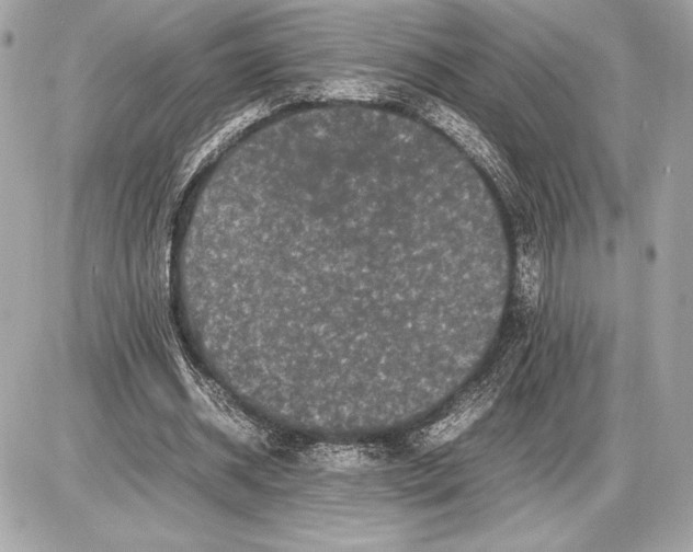 X0000085840534200704091726