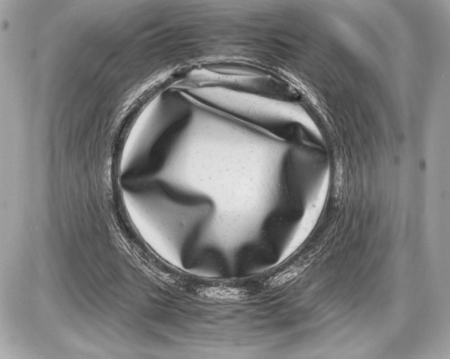 X0000085840535200704091726