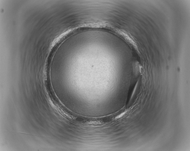 X0000085840536200704091726