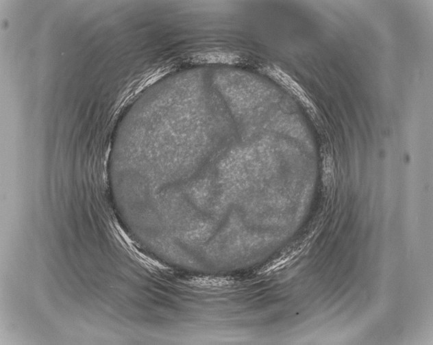 X0000085840537200704091726