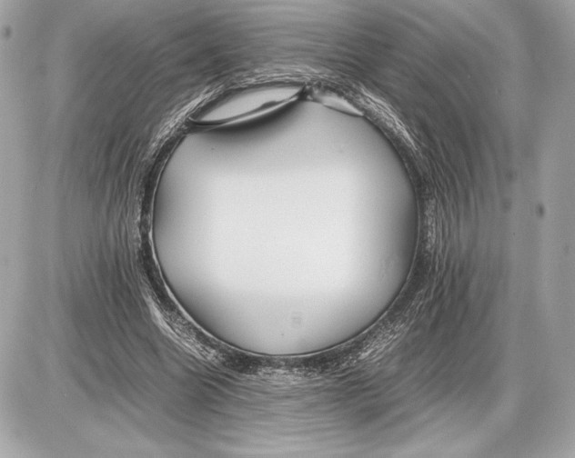 X0000085840538200704091726