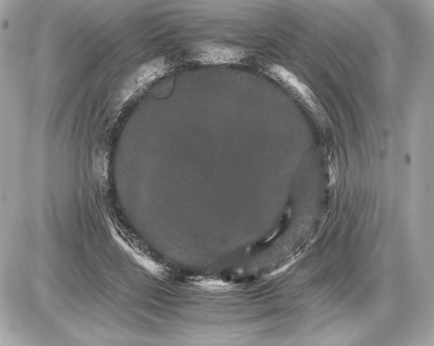 X0000085840539200704091726