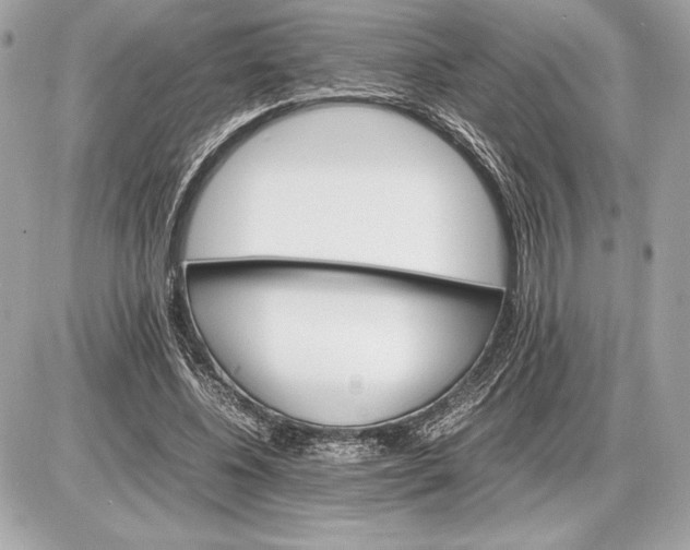 X0000085840540200704091726