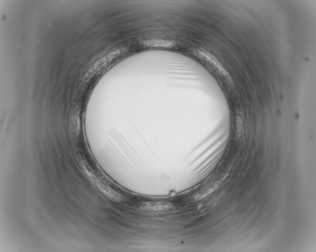 X0000085840541200704091726