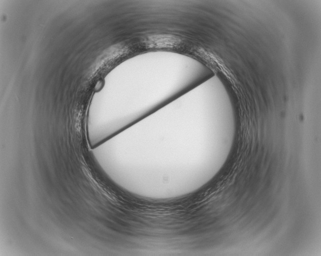 X0000085840543200704091726