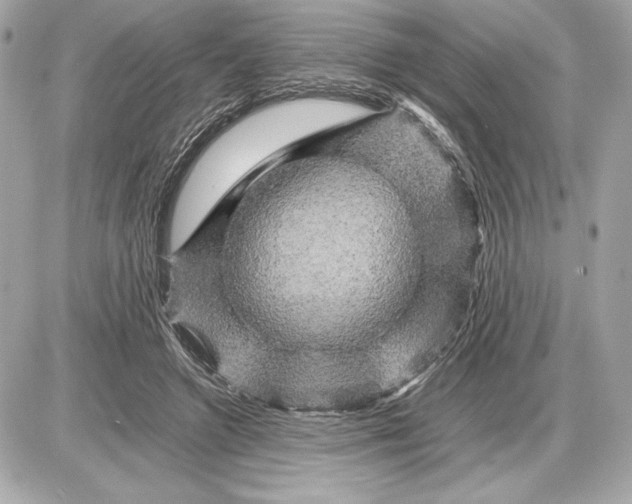 X0000085840546200704091726