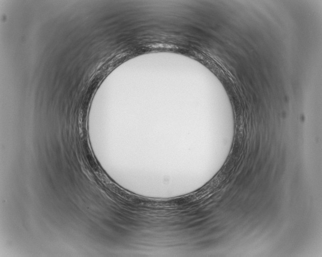 X0000085840547200704091726