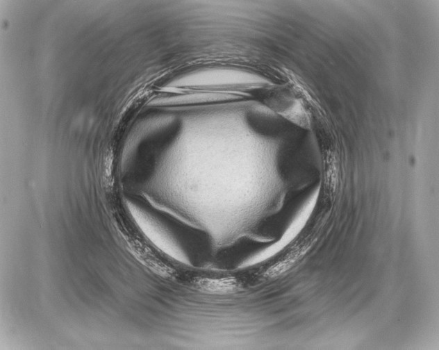 X0000085840548200704091726