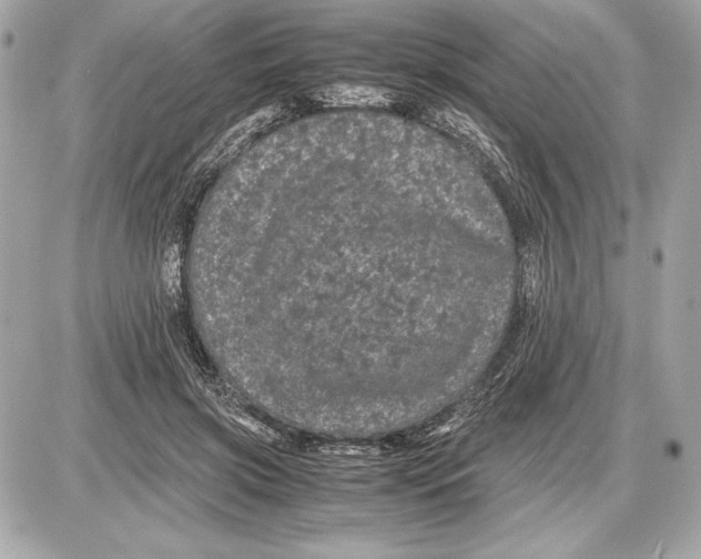 X0000085840549200704091726