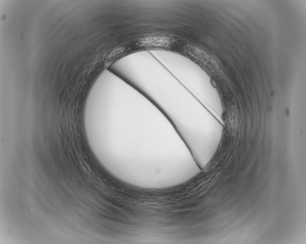 X0000085840551200704091726