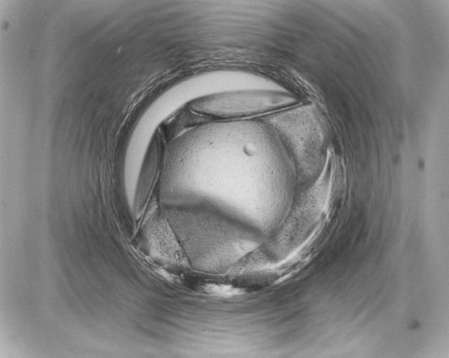 X0000085840552200704091726