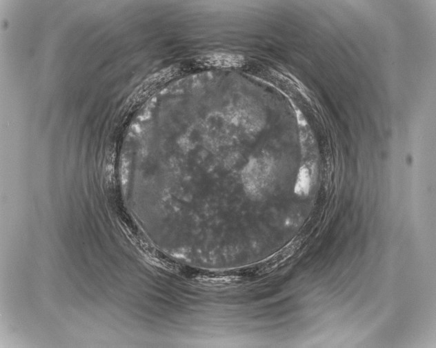 X0000085840553200704091726