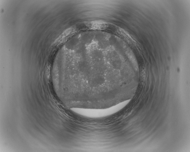 X0000085840554200704091726