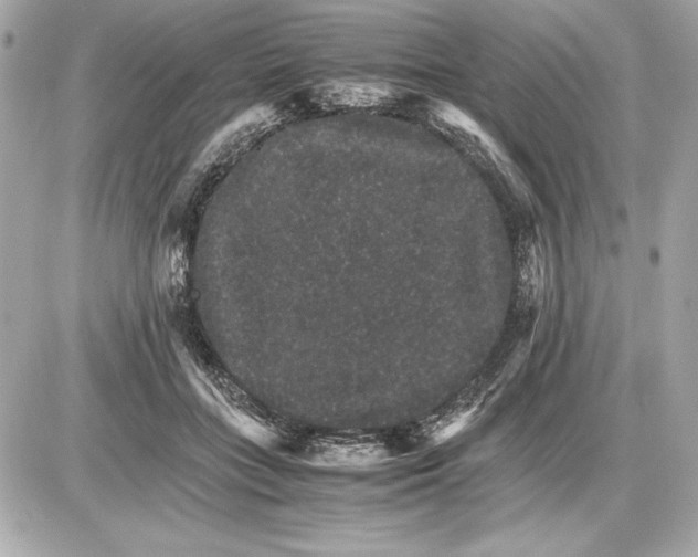 X0000085840555200704091726