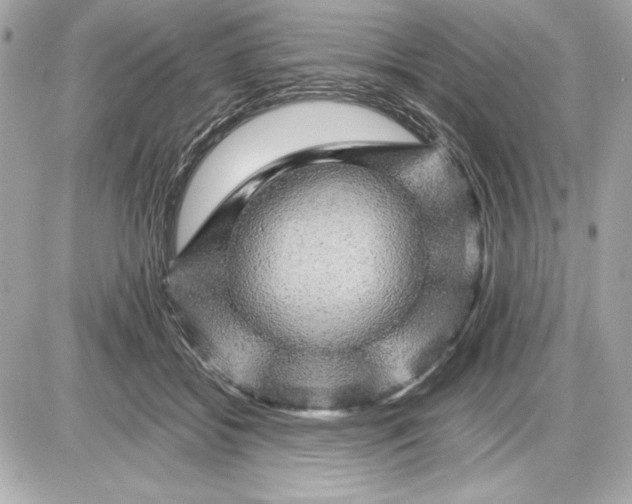 X0000085840556200704091726