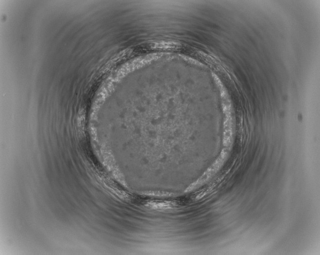 X0000085840557200704091726