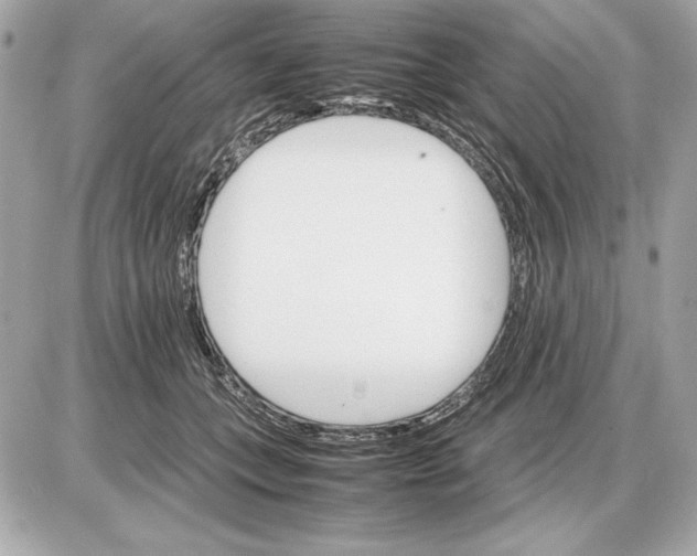 X0000085840559200704091726