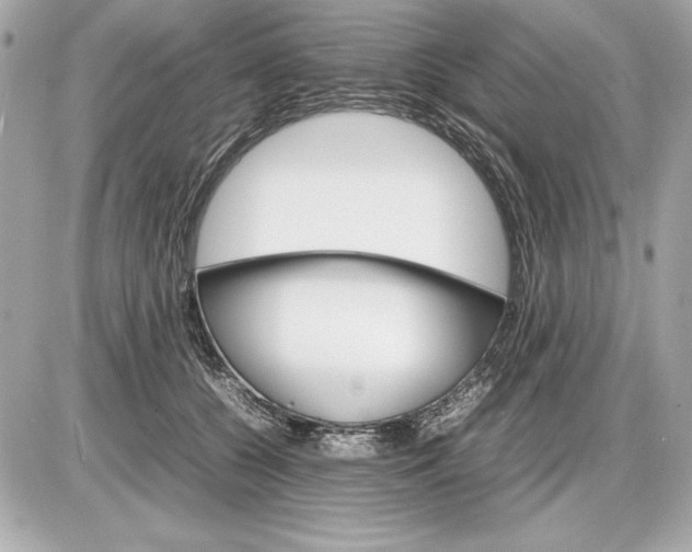 X0000085840560200704091726