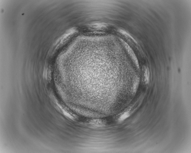 X0000085840562200704091726