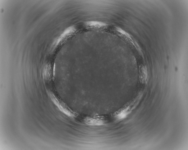 X0000085840563200704091726