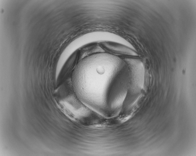 X0000085840564200704091726