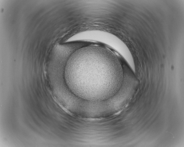 X0000085840566200704091726