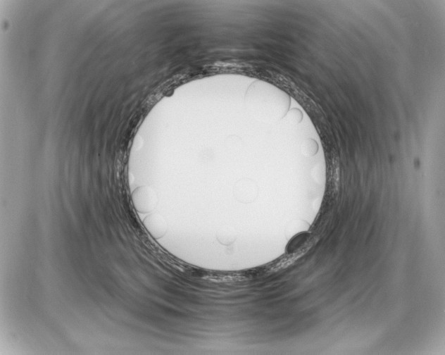 X0000085840567200704091726