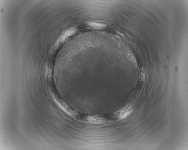 X0000085840568200704091726